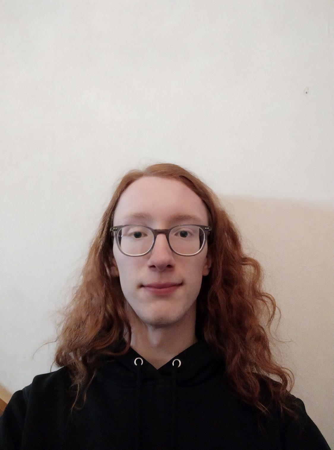 Axel Loones